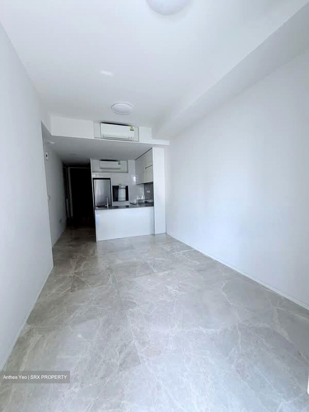 Amber Park (D15), Condominium #583900131